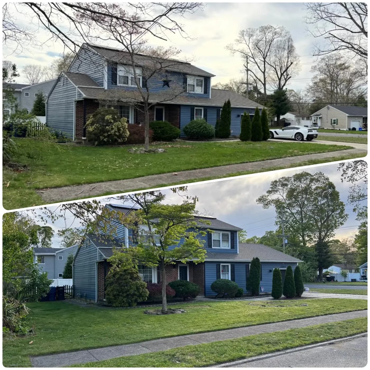 Before-and-after yard renovation of a colonial in Egg Harbor Township, NJ